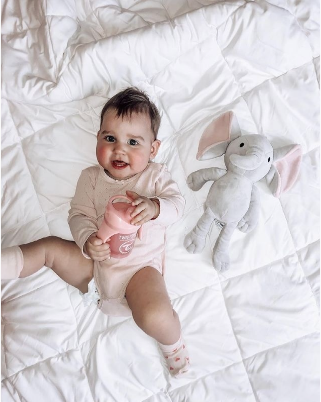 Peluche