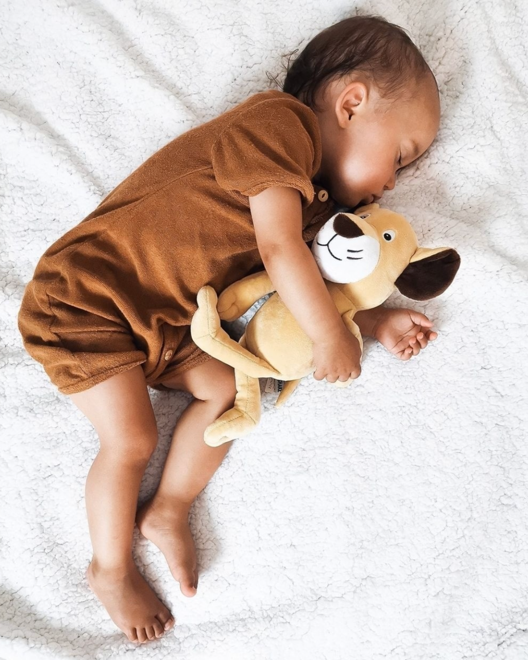 Peluche